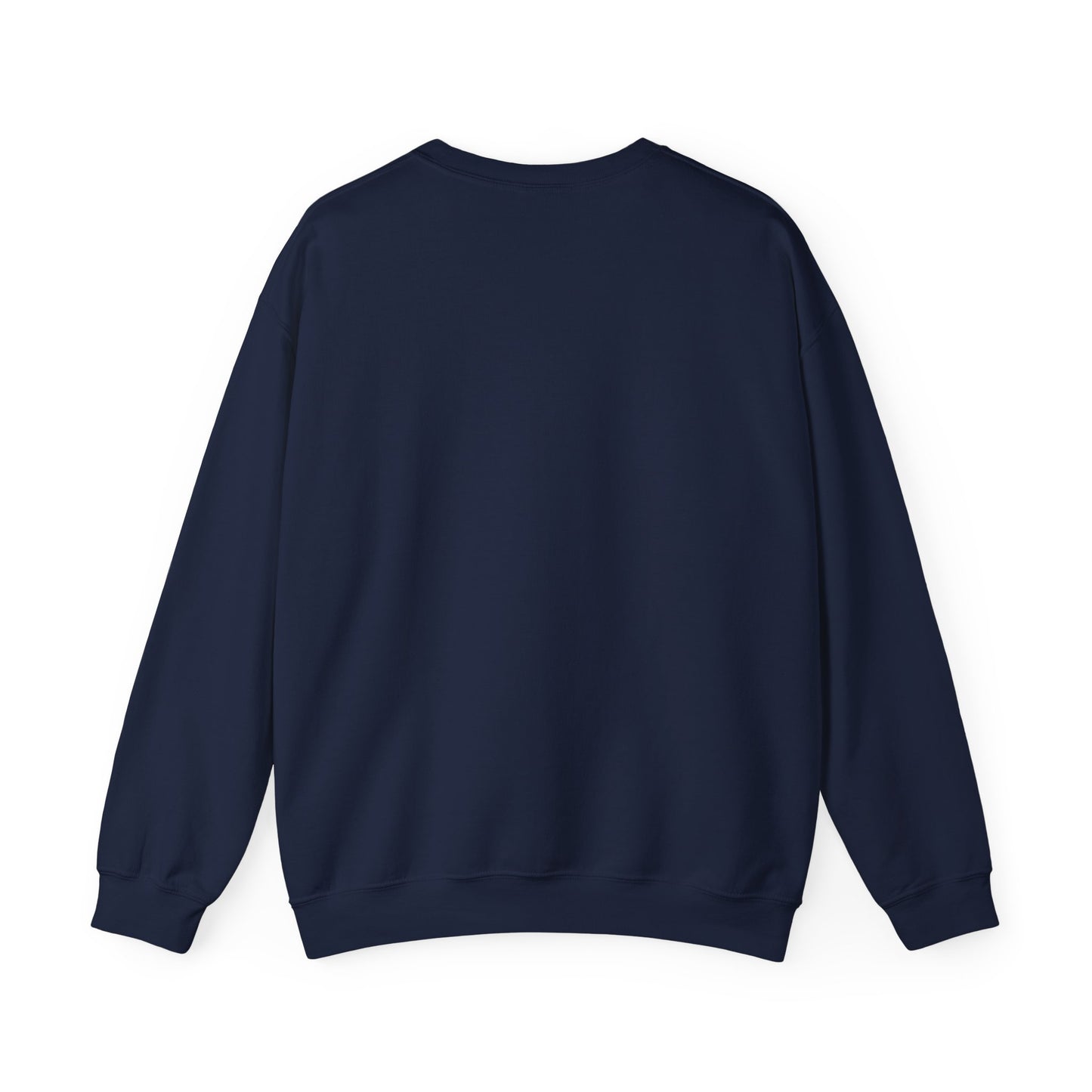 Navy back sweatshirt on a plain background