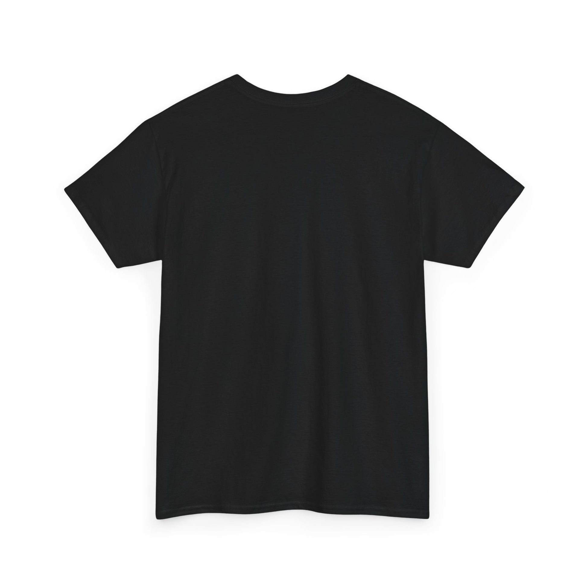 Black back side t-shirt on a white background