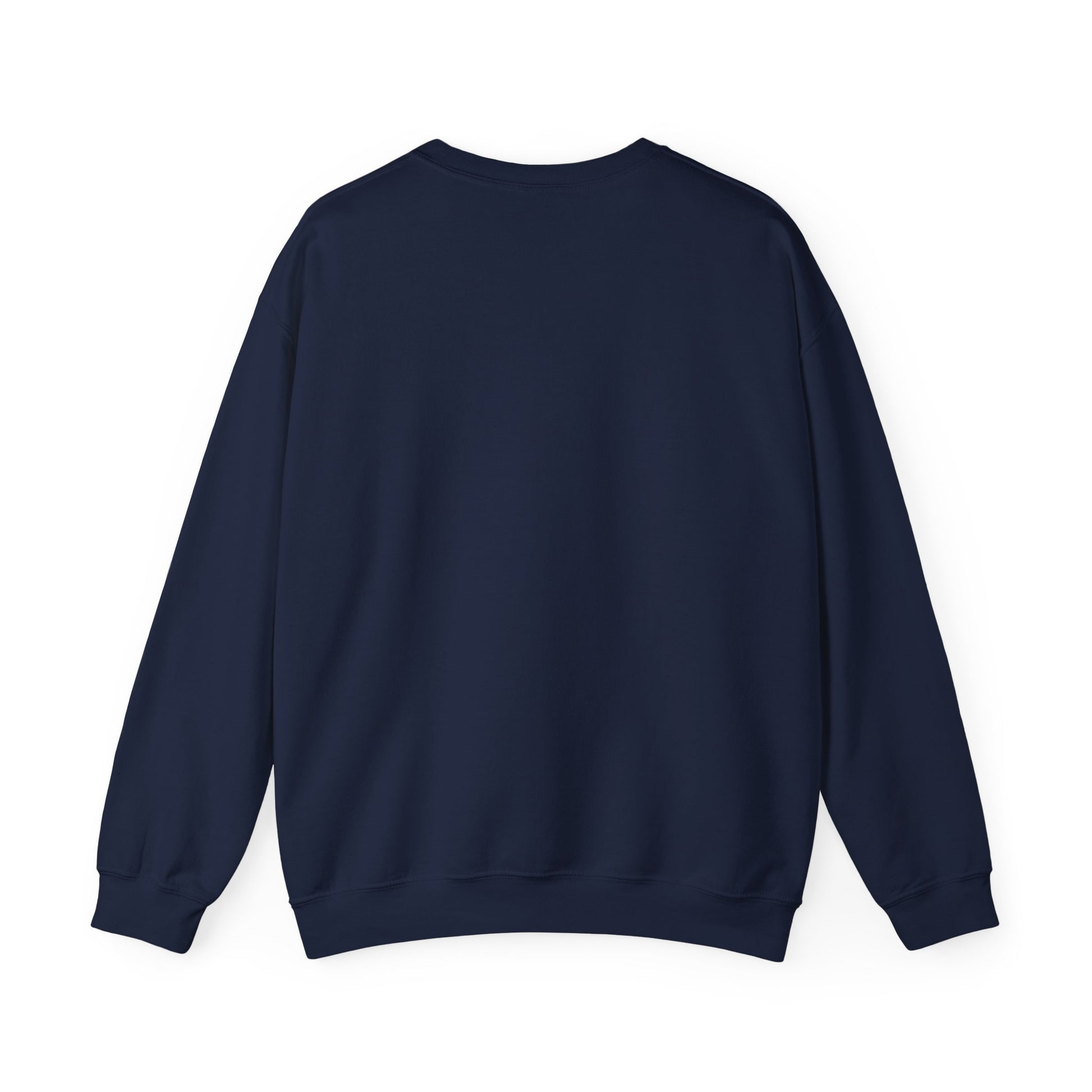 Navy back sweatshirt on a plain background